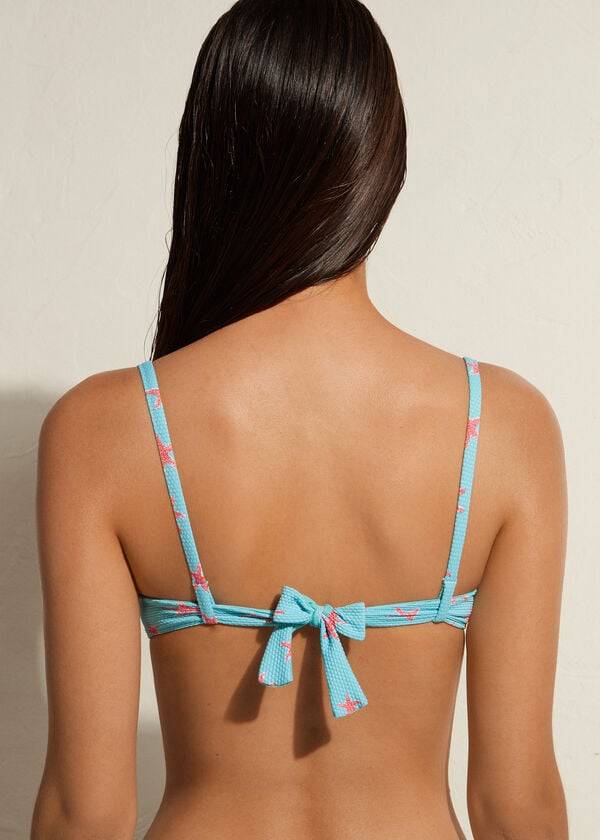 navy womens calzedonia padded push-up buenos aires bikini tops